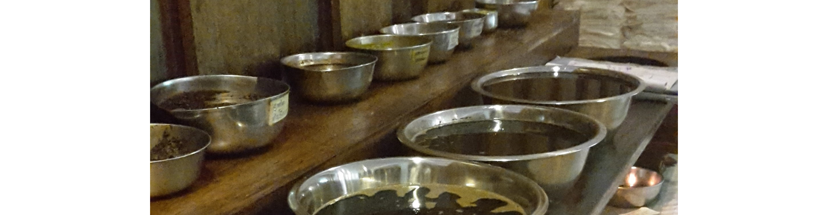 Ayuverda Behandlungen in Starnberg