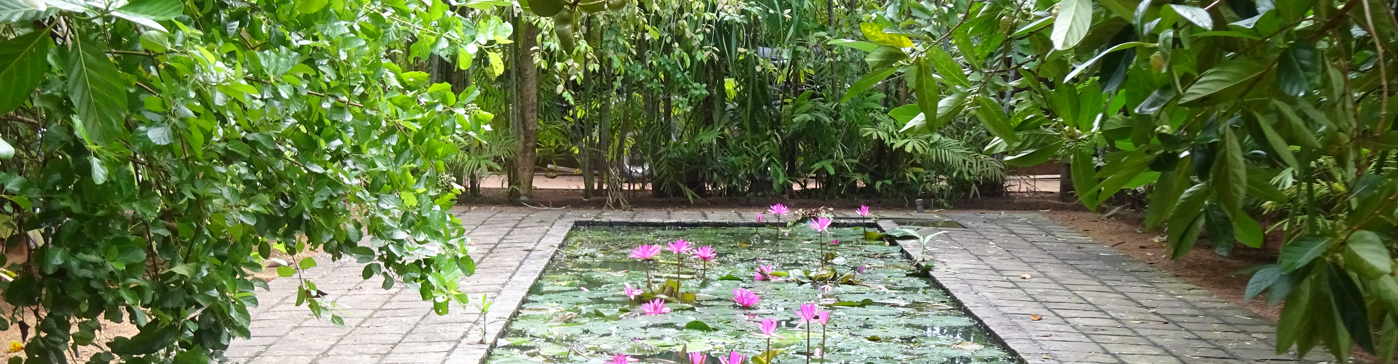 Praxis Manuela Schreiber bietet Ayurveda Massagen