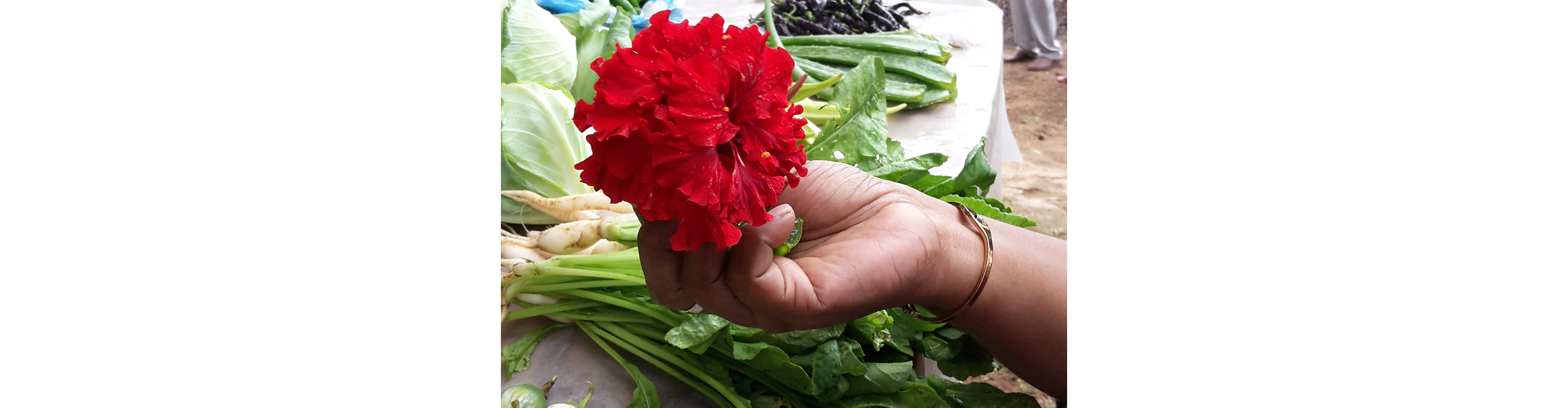 Praxis Manuela Schreiber