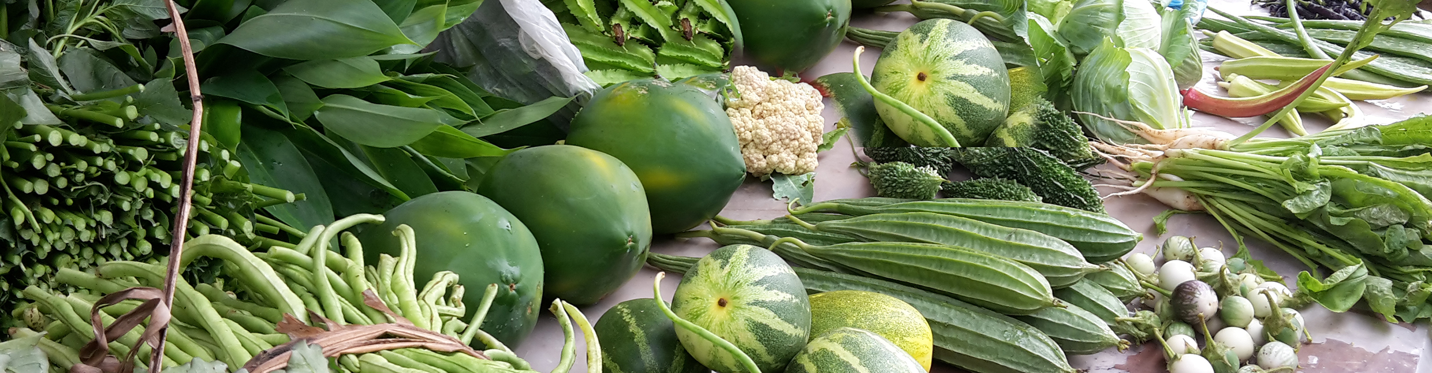 Ayuverda Behandlungen in Starnberg