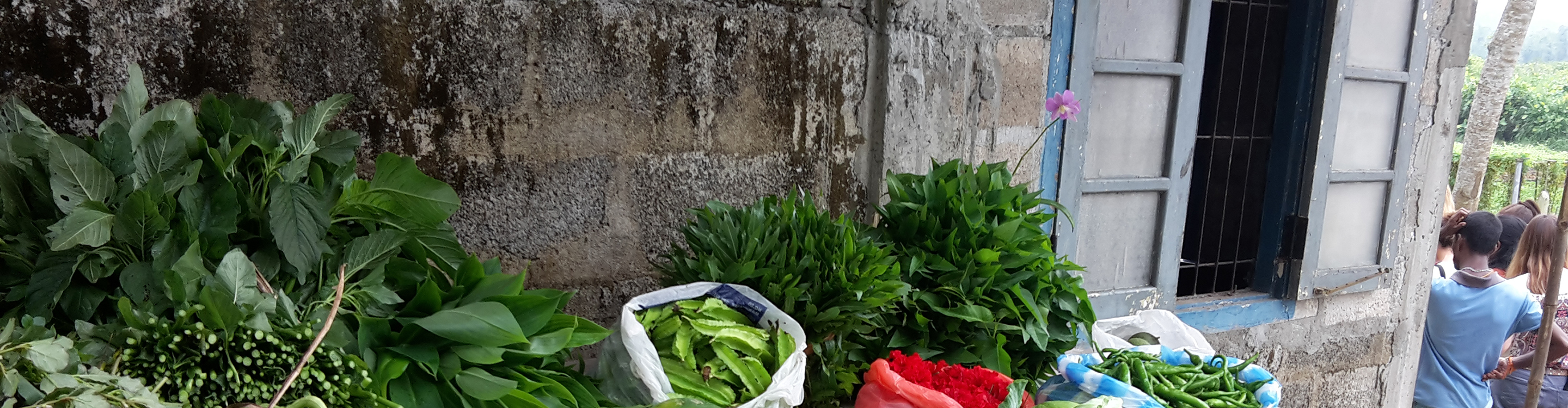 Praxis Manuela Schreiber bietet Ayurveda Massagen