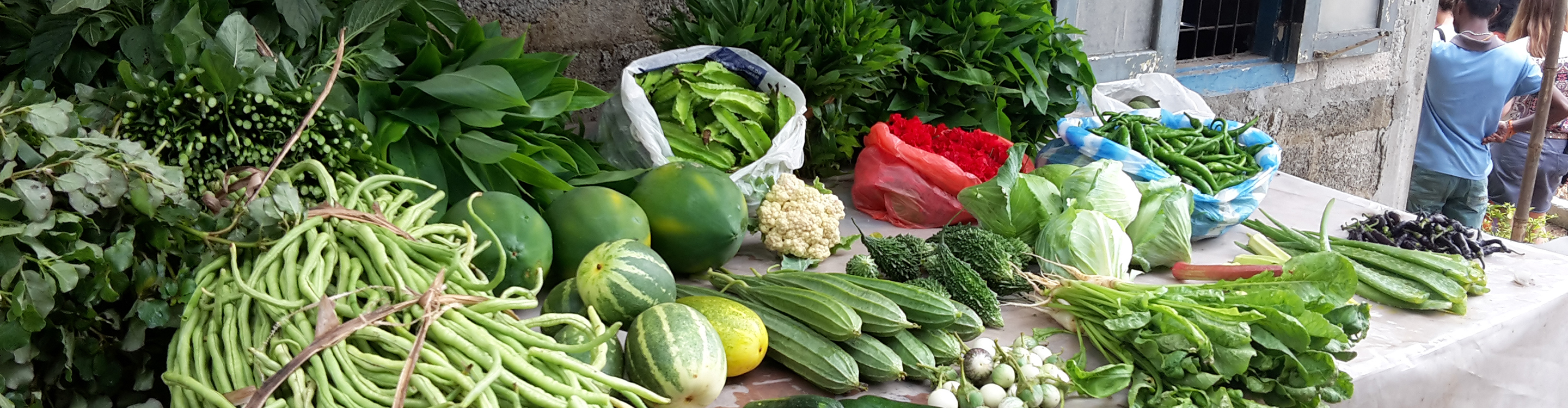 Praxis Manuela Schreiber bietet Ayurveda Massagen