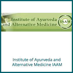 Ayuverdischa Institut