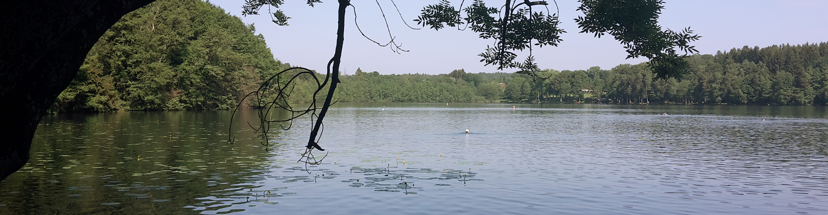 Praxis Manuela Schreiber