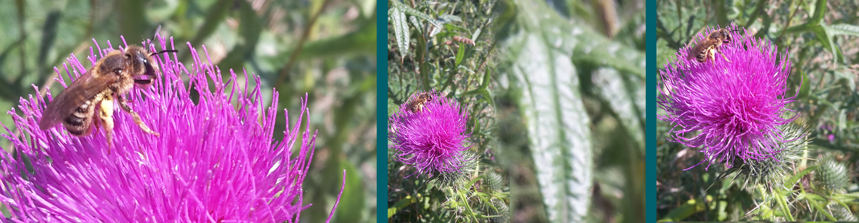 Ayuverda Behandlungen in Starnberg