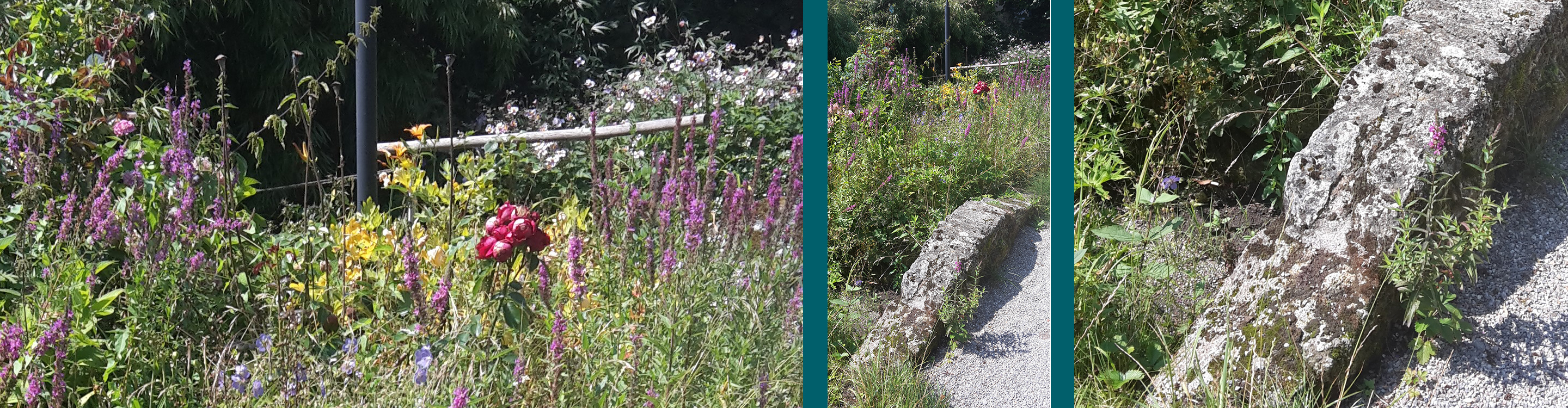 Ayuverda Behandlungen in Starnberg