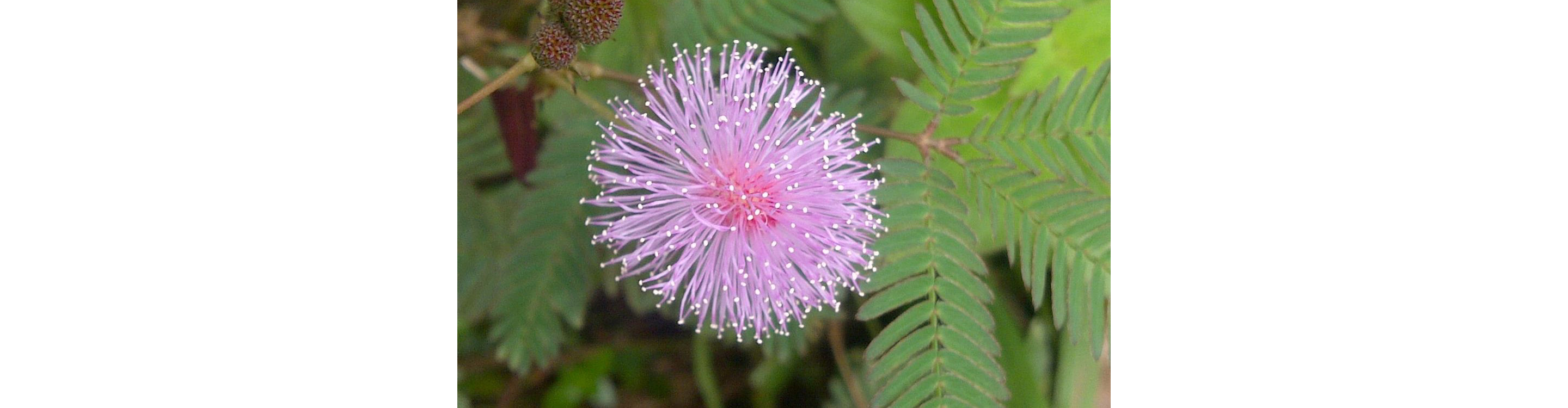 Praxis Manuela Schreiber