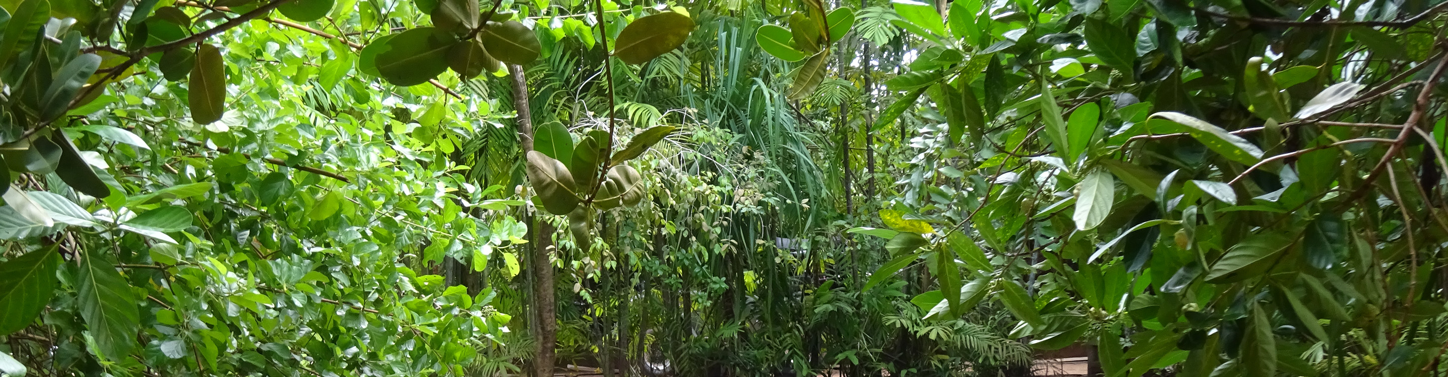 Ayuverda Behandlungen in Starnberg