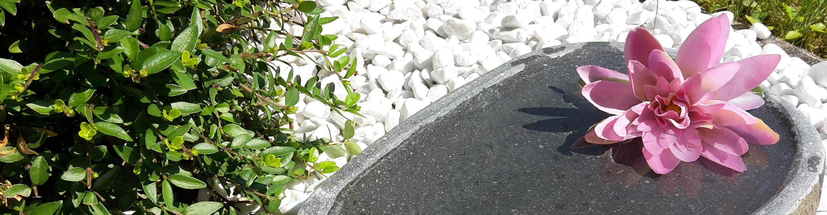 Yoga mit Manuela Schreiber